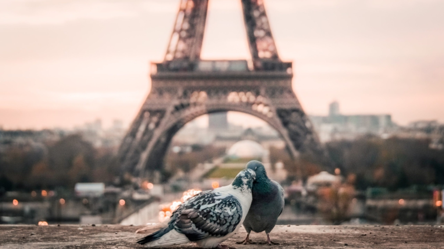 Kaksi pulua Eiffel -tornin edessä