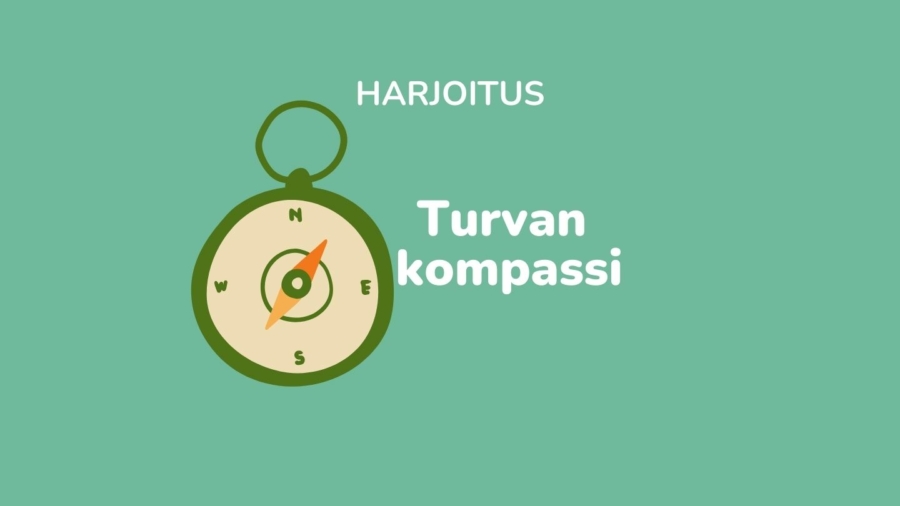 Turvan kompassi